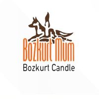 Bozkurt