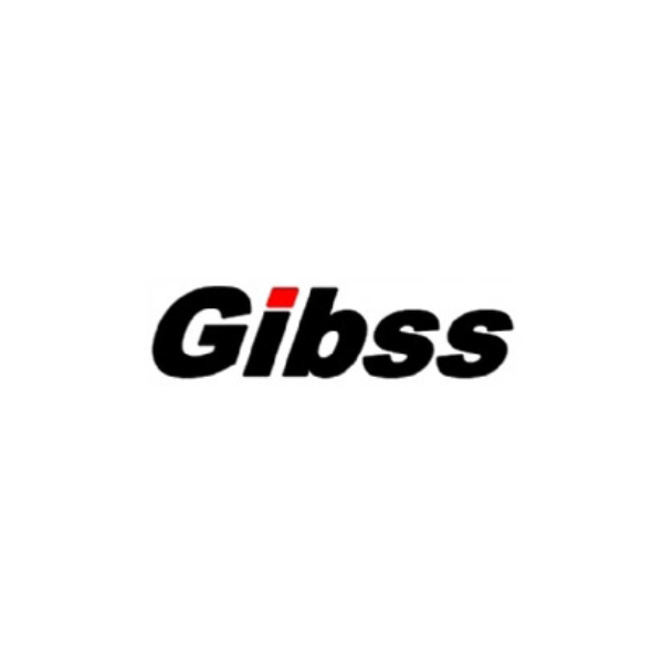 GİBBS