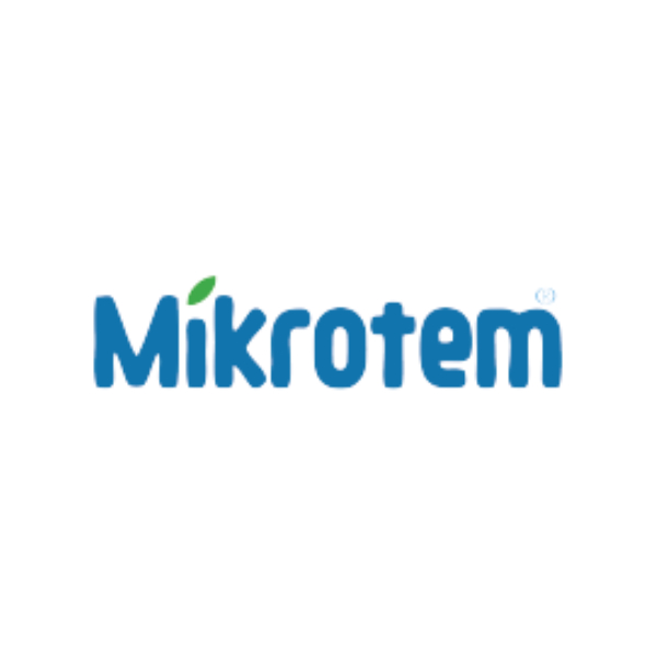 Mikrotem