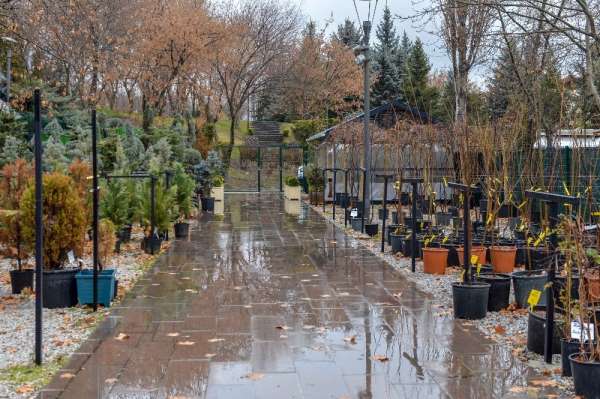 Ankara'da yerli bitki üreticileri kazanacak