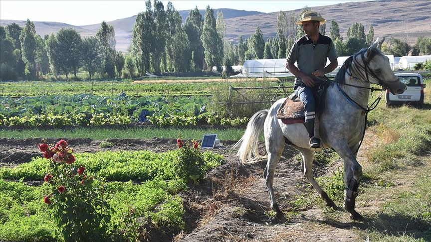 Artan sebze üretimi Doğu'daki sofralara lezzet katıyor