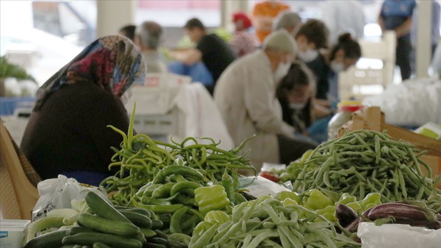 Ata tohum toprakla buluşarak sertifikalı ve organik ürün veriyor