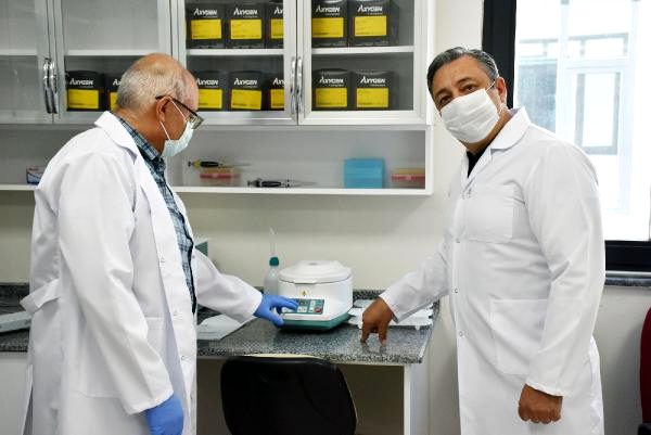 Hastalıklara dayanıklı yerli ve milli patates çeşidi geliştiriliyor
