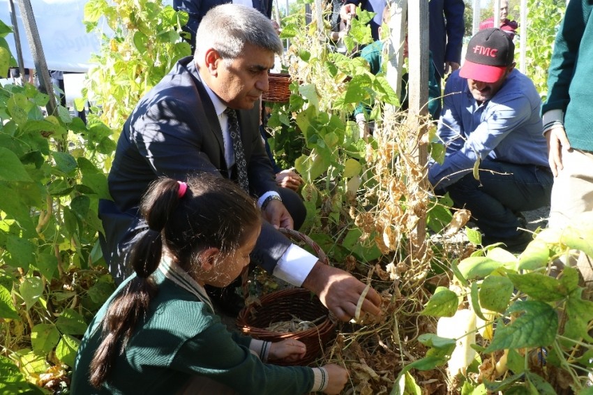 Karabük'te yerli tohumla 12 çeşit ürünün üretimi yapıldı