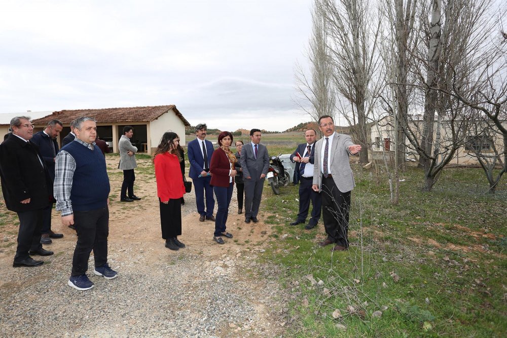 PAÜ'den yerli tohum atılımı