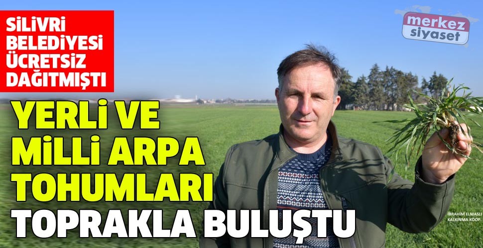 Silivri’de yerli ve milli arpa tohumları toprakla buluştu