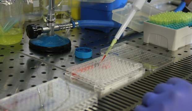 Türkiye'de patent başvurusu yüzde 24 arttı