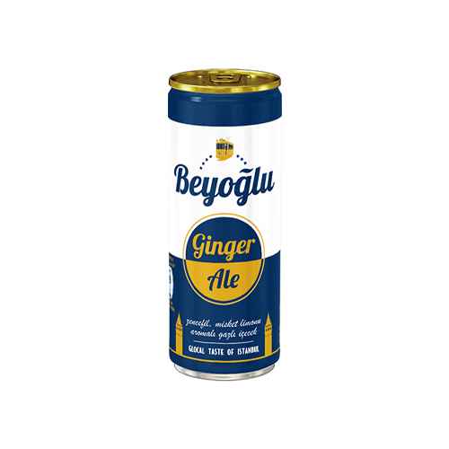 Beyoğlu Ginger Ale Zencefil & Misket Limonu Aromalı İçecek (250 ml)