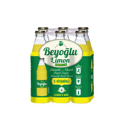 Beyoğlu Limonlu Naneli Doğal Mineralli Gazlı İçecek (6 x 250 ml)