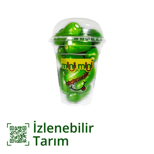 Erüst Atıştırmalık Mini Hıyar (250 g) - Erüst ürünü