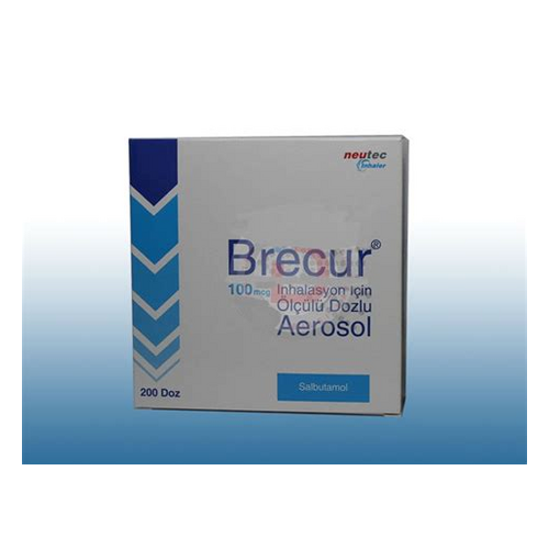 İnventim İlaç Becday 100 mcg 200 Doz - İnventim İlaç ürünü