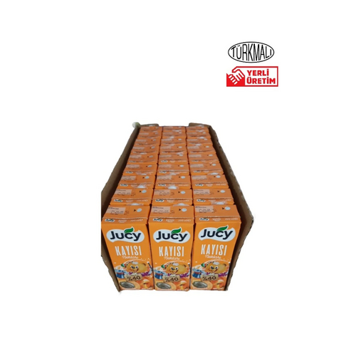 Jucy Karışık Meyve Suyu