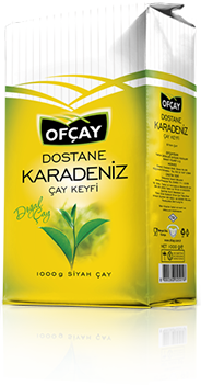 Ofçay Dostane