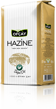 Ofçay Hazine