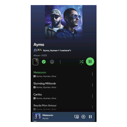 TMO AYÇİÇEK YAĞI 5LT